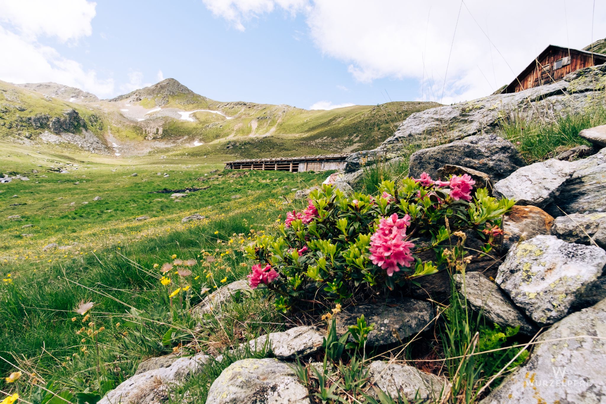 An der Alplahner Alm